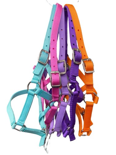 Foal size nylon - foal, headcollar