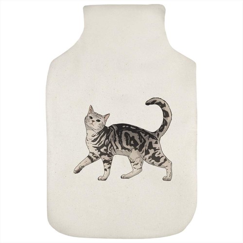 Prancing gray tabby - 'prancing, cat'