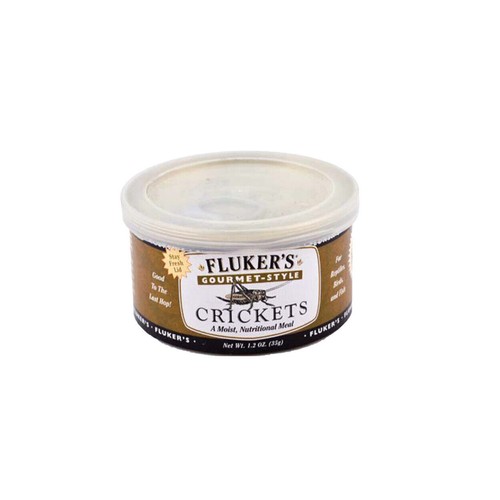 Gourmet style crickets - ra, gourmet-style