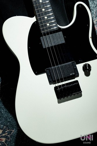 Fender jim root telecaster - root,