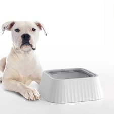 Pet Water Bowl, Non Spill Slow