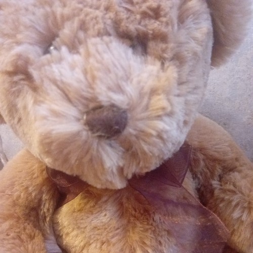 Cuddles time plush soft toy - plush,