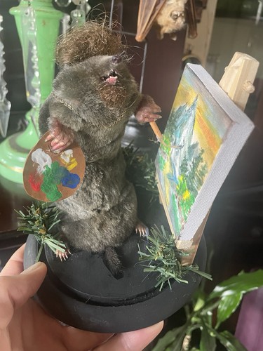 Taxidermy