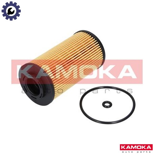 Oil filter f111001 - oil, for