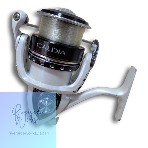 Daiwa caldia 3000 - 09,