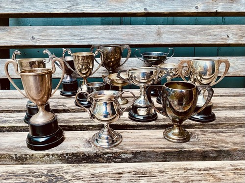15x silver trophy vintage - 🏆,