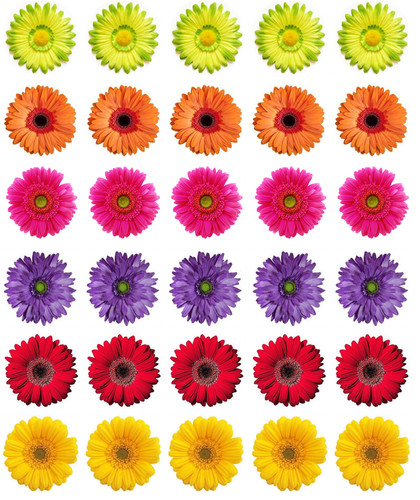 Gerbera flowers cupcake - x,