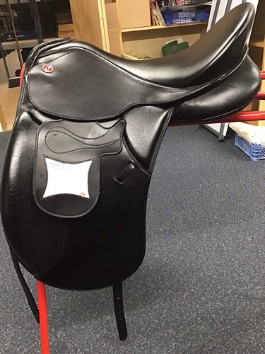 Kieffer lusitano dressage - 17,