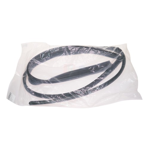 Door glass run channel seal - glass, lh