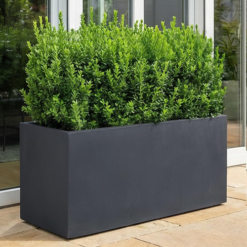 65cm large trough - large,
