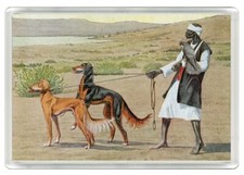 SALUKI  MAN AND DOGS DOG PRINT