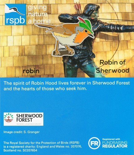 Rspb pin badge special - rspb,