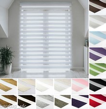 Day & Night Window Zebra