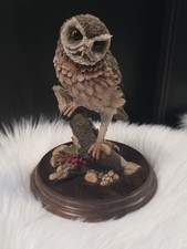 Country Artists CA398 Little Owl Figurine – Stratford-upon-Avon, England