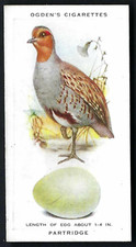 OGDENS - BRITISH BIRDS & THEIR EGGS - #26 PARTRIDGE