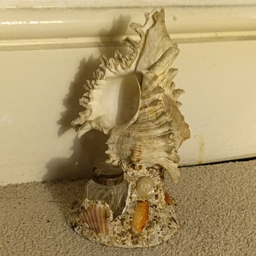 Nautical seashell decorative - nautical,