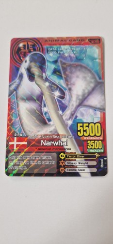 Narwhal animal kaiser - animal,