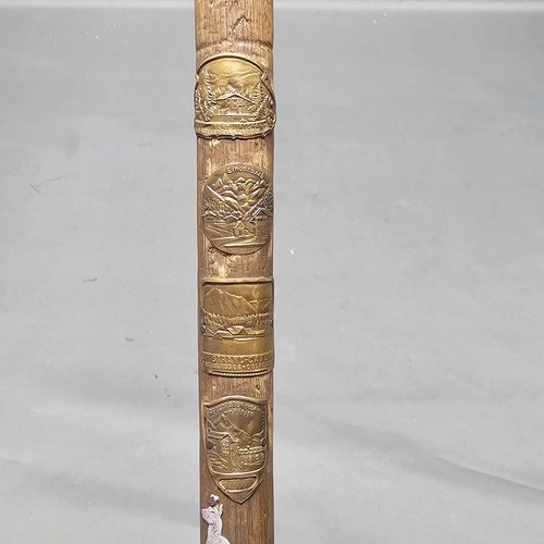 Old cane walking - cane, stick