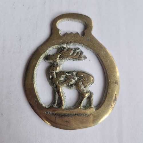 Vintage horse brass scottish - horse, "scottish
