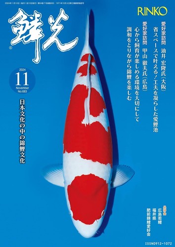Magazine rinko 2024 november - 2024,