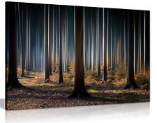 Tree Trunks In a Dark Mysterious Forest Framed Canvas Print Wall Art Home Decor