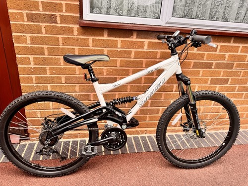 Saracen mountain bike - mountain, adult