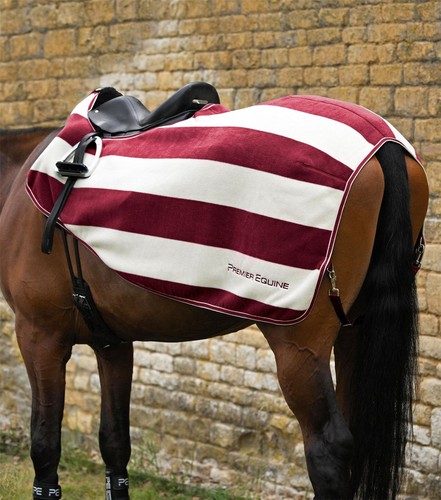 Premier equine vellus horse - vellus,