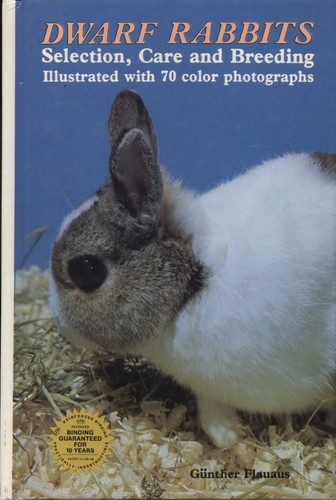 Dwarf rabbits selection care - selection,