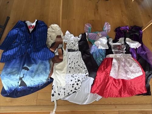 Assorted girls fancy dress - girls,