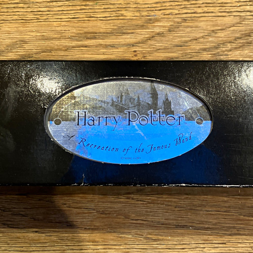 Harry potter recreation the - potter,