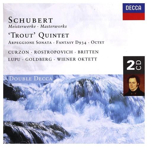 Schubert piano quintet trout - piano,