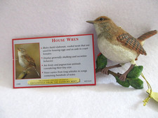 House Wren Danbury Mint