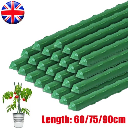 Garden plant stakes - garden,