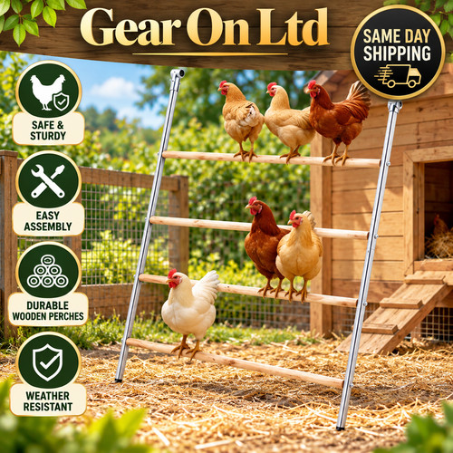 104 143cm outdoor chicken - outdoor,