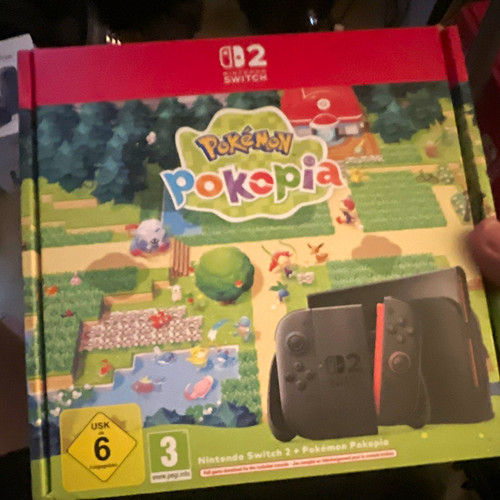 Nintendo switch pokémon - nintendo,