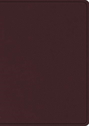 Esv study bible large - bible,, print