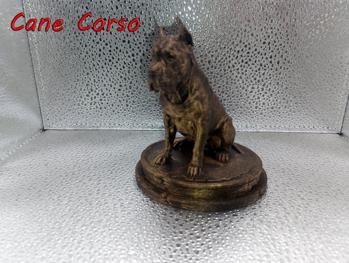 Cane corso dog bust 7cm - corso,