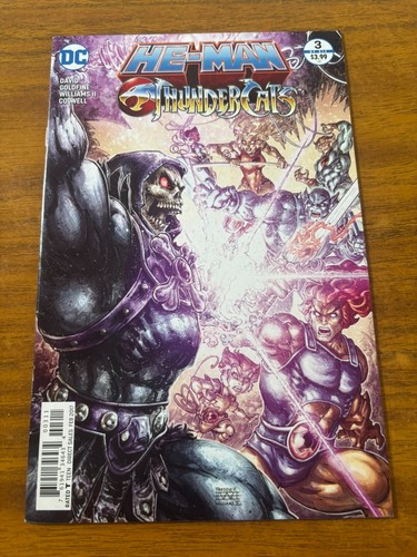 Man thundercats 3 dc - he-man,