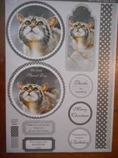 Beautiful Die Cut Toppers by