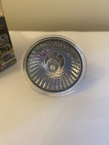 Reptile light bulb - reptile,