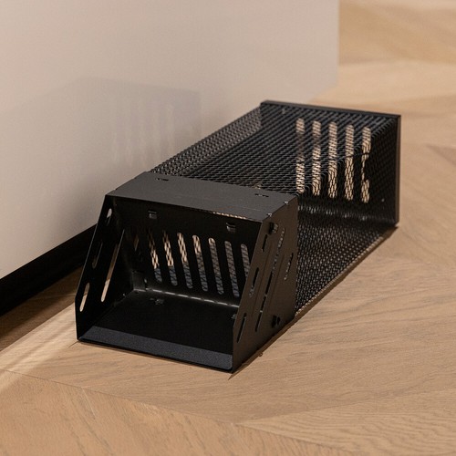 Rat trap squirrels - rat,