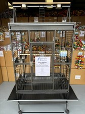 Parrot supplies atlanta - atlanta, play