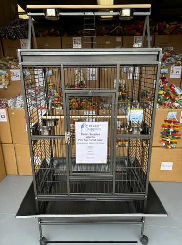 Parrot supplies atlanta - atlanta, play
