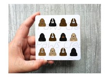 American Cocker Spaniel