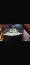Juwle 350 L Tank with Rocks