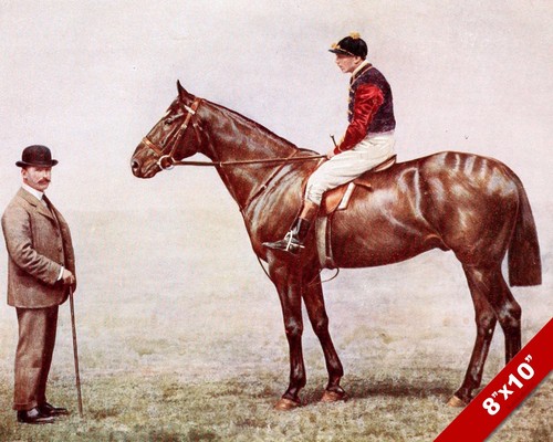 Prize horse jockey - horse, owner