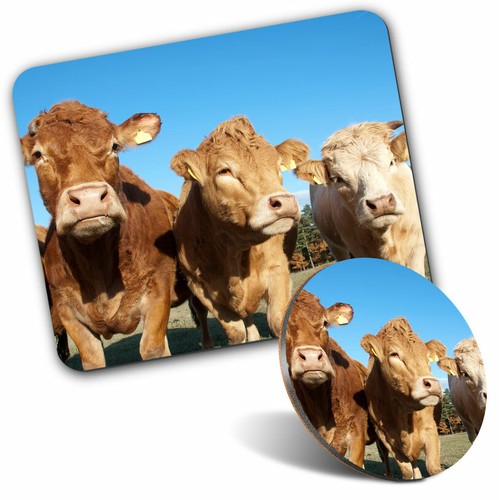 Mouse mat coaster - mat,