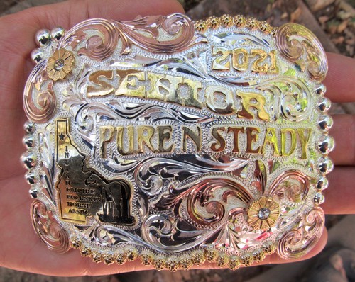 Silver iebha champion - iebha,