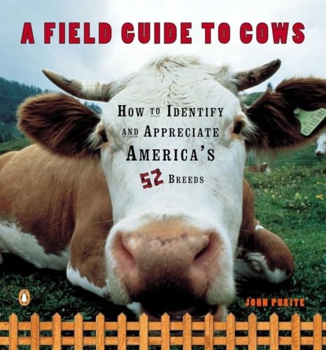Field guide cows - how, to
