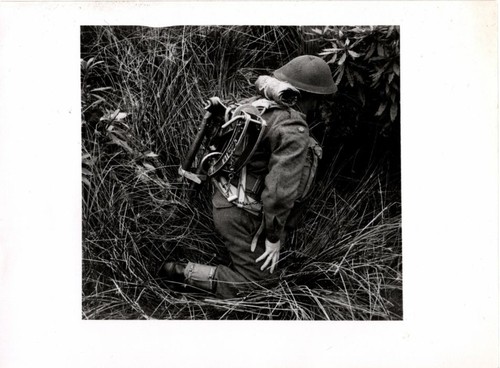Original press photo - original,